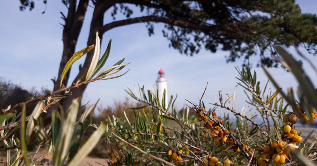 Foto: Leuchtturm Dornbusch auf Hiddensee