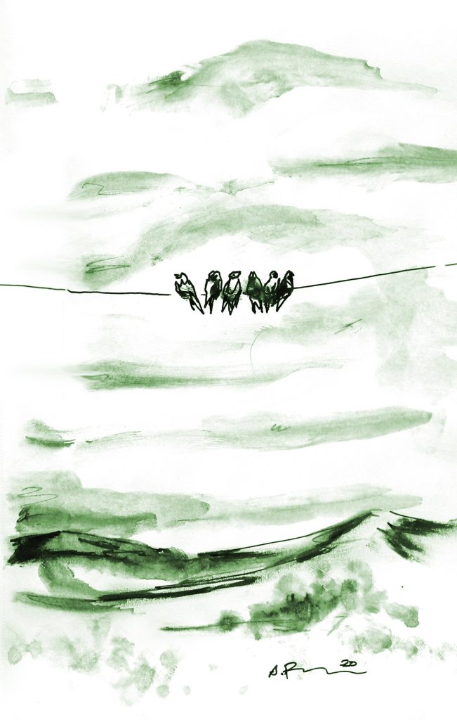 Tuschezeichnung: Vögel auf Oberleitung